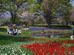 ２０１６年昭和記念公園ファン倶楽部・チューリップオフ会は、花見（桜）オフ会に移行しました。