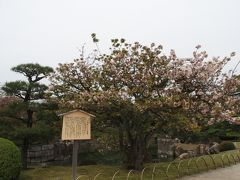 二条城・上賀茂神社2016