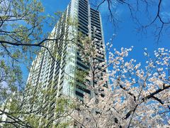 飯田橋　さくらテラス　ほしので一杯　　神楽坂　花かぐららんち　