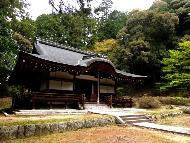 西行法師終えんの地として知られる弘川寺は、役行者の開基でその自作といわれる<br />薬師如来像を本尊として、天武朝期に勅願寺となり行基や空海もここで修行したと伝えられています。<br />桜の名所としても知られています！<br />