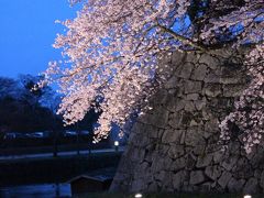 桜・桜・桜（滋賀編）