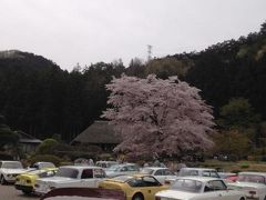 お花見も兼ねて春の日帰り秩父♪　　