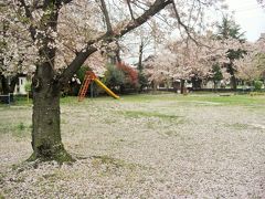２０１６年　山口県・宇部市　国道沿いにある公園の桜がきれいだったので寄ってみました