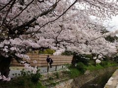2016春　哲学の道（銀閣寺から南禅寺）