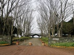  早朝ウォーキングコース沿いに咲く花達・・・⑤久喜菖蒲公園のさくらとウォーキングコースの風景