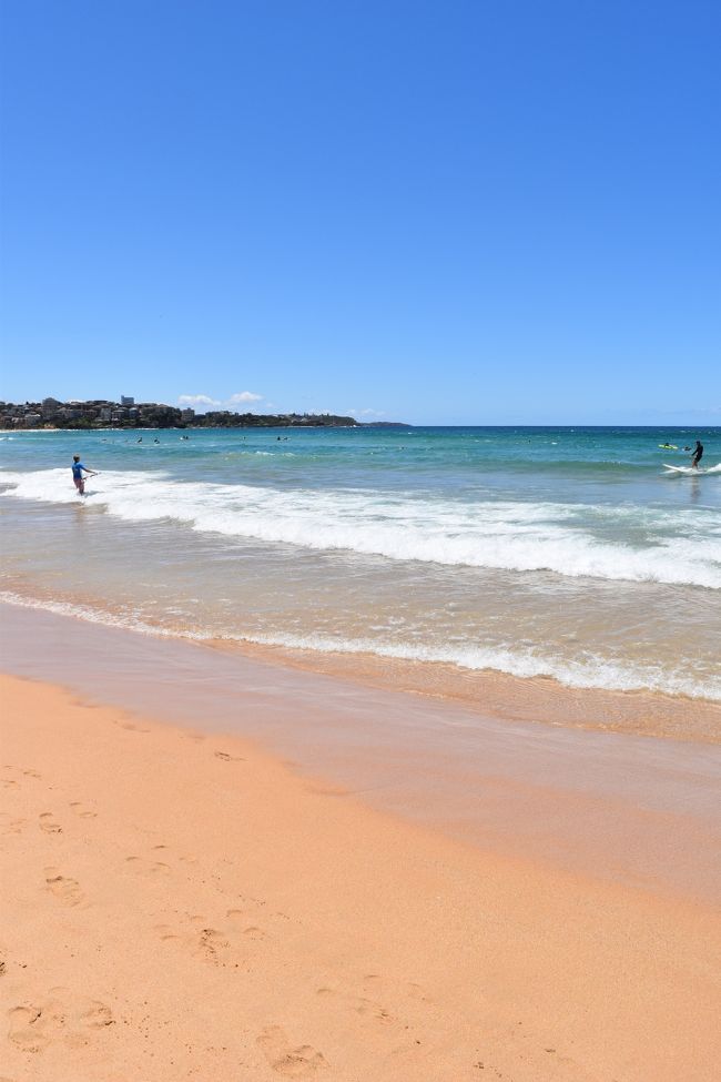 真夏のオーストラリアとなれば、やはり海は欠かせない。<br />市内から簡単に行ける海水浴場がいくつかあるが、今回はそのなかからマンリービーチを選んだ。