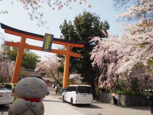 花嵐の後の桜をさがして 京都 平野神社 原谷苑 二条城 平安神宮 醍醐寺 京都の旅行記 ブログ By 旅じぞうさん フォートラベル 花嵐の後の桜をさがして 京都 平野神社 原谷苑 二条城 平安神宮 醍醐寺 京都の旅行記 ブログ By 旅じぞうさん フォートラベル
