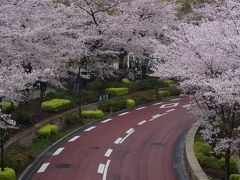 桜じゃないのかよ～～♪　再びの国立新美術館と江戸城