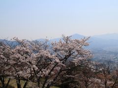 美の山公園（蓑山）でフラワートレッキング