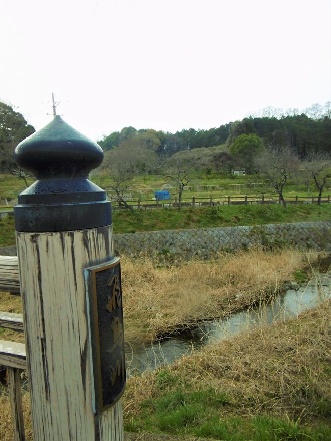 奈良旅二日目の午後は、「伝飛鳥板蓋の宮跡」〜「酒船石」〜「飛鳥寺」〜「今井町」を散策し、夕食は奈良市内の居酒屋「蔵」にて、おいしい日本酒と共におでんをいただいた。<br /><br />飛鳥寺も３６年前に訪れて以来の場所。<br />入鹿の首塚前で撮った２０代頃の写真を発見。<br />その時に、御朱印もいただいていたので、当時と今のを比較してみた。<br />お寺の御朱印の文字って、なんとなくその寺らしい文字が受け継がれているのだろうか？<br /><br />夕食を食べた居酒屋「蔵」は、前日（日曜夜）予約をしてみたら、満席で断られた。<br />それで翌日の月曜夜はどうか？と尋ねたら、こちらの方はＯＫだったので、勇んで駆けつけたのだ。<br />実は前回の奈良旅（2014年９月）では、予約無しで行った所、やはり満席で断られたので、今回は慎重に予約をしたのだった。<br />