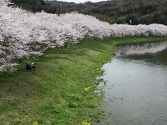 白竜湖の春景　2016