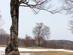 残雪の奥志賀高原☆大好き なバイオリンを聴きながら～雪解けの高原を散歩♪～♪♪