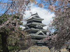 桜三昧の旅 in 松本