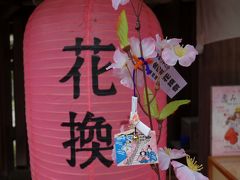 2016年　4月　福井県　敦賀　花換まつり（金崎宮）