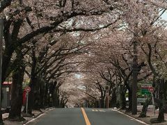 2016 春の伊豆高原　週末に1泊2日