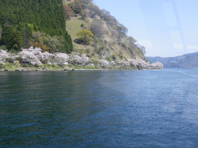 ４月１２日、長浜港から高速船で行く海津大崎の桜を湖上から眺める季節の限定プランに参加しました。「岬を半周する4キロの湖畔道路に、約800本の桜並木が花のトンネルをつくります。湖岸には珍しい岩礁が点在し、奥琵琶湖の景勝地として知られている海津大崎の桜と、船の旅をお楽しみください。」と言うプランです。昨日（１１日）は、全国的に大荒れのお天気。お花見クルーズも残念ながら欠航に。せっかく咲いた桜がどうなるかと心配でしたが、安心してください！海津大崎の桜は散ってません♪　満開です。長浜港発着「お花見クルーズ」4/20まで運航です！　」と地元テレビ局が紹介。勇んで出向く。翌日（１３日）は近江八幡水郷巡りに挑戦。満開の桜と早春の水郷風景を満喫して来ました。写真は船内からの眺め。<br />