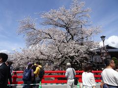 初めての高山祭り