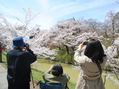 86歳の父と82歳の母を連れて上田城千本さくら祭り～夜桜～海野宿に行ってきました。母は昨年秋の大たい骨の骨折後、初旅行です。その①上田城の満開の桜を楽しみました。