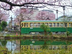 東京ぶらり散歩　～昭和の雰囲気が残る都電荒川線に乗って下町桜めぐり　荒川自然公園・あらかわ遊園・飛鳥山公園＆音無親水公園・面影橋～