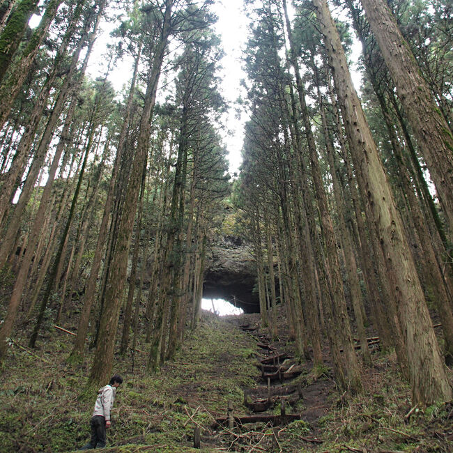 この日 早朝に成田に向う電車の中で相方さんが勧めてきた上色見熊野座神社。<br />見せられた写真は緑が鬱蒼と茂る夏のもので、神秘的といえばそうなのですが、少し怖さすら感じられる雰囲気のところです。写真盛りすぎな感がありますがまずはこちらをご覧ください↓<br />https://i.ytimg.com/vi/e9FHl42lNHo/maxresdefault.jpg<br /><br />春なのでここまで鬱蒼としてませんでしたが<br />それでも実際行ってみるとすごい雰囲気。<br />今 写真見ても何かいそう…。