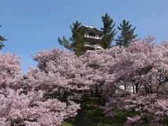 高遠の桜と釈迦堂の桃