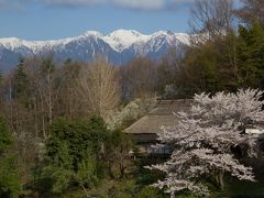 信州伊那谷 桜紀行