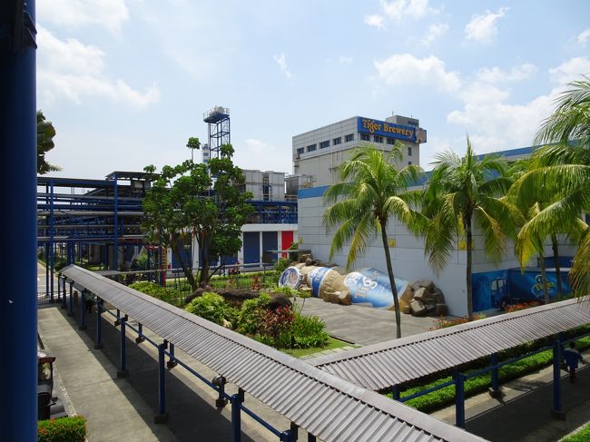 17年ぶりのシンガポールにやって来ました(#^_^#)<br />関西国際空港発の深夜便を利用し、早朝に到着しましたが早速行動開始です。<br />Jurong Bird Parkを後にし、Tiger Breweryへ向かいます。<br /><br />◆　超ハード 7days in Singapore　◆<br /><br />　≪1日目≫Jurong Bird Park→Chinese Garden→Tiger Brewery→Discovery Centre<br />　≪2日目≫セントーサ島=Universal Studios Singapore→マーライオン・タワー<br />　≪3日目≫Arab Street→Katong→Hua Par Villa→Little India→Turf Club<br />　≪4日目≫Singapore Zoological Gardens→River Safari→Orchard<br />　≪5日目≫Orchard→ホテルを移動 Marina Bayへ→ワンダー・フル<br />　≪6日目≫Duck Tours→Gardens by the Bay<br />　≪7日目≫最後のinfinity poolを楽しみ帰国