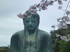 桜咲く鎌倉（とおまけの江の島）ぶらり