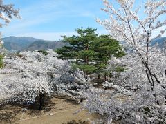 長野２０１６桜　【２】松代城跡