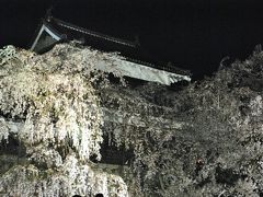 86歳の父と82歳の母を連れて上田城千本さくら祭り～夜桜～海野宿に行ってきました。母は昨年秋の大たい骨の骨折後、初旅行です。その②旧北国街道の柳町～上田城の夜桜を楽しみました。