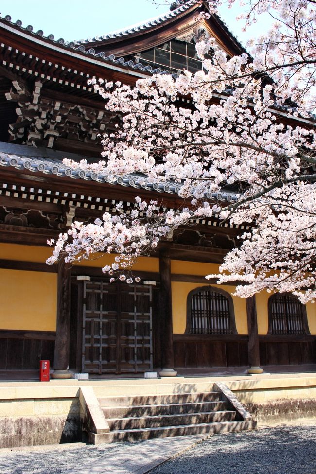 京都最終日、天気は快晴、暖かくなる予報。<br />先ずは朝食を食べに祇園の方に、バスの1日券を買って行きました。ところが予定していたお店が休業。<br />近くの白川の桜を見ましたが、まだちょっと早かったようです。<br /><br />朝食は「進々堂」でいただき、その後南禅寺の方に行きました。ここは桜よりも紅葉で有名ですが、桜もきれいに咲いていました。目的はインクラインです。将軍塚に行くバスの車窓からここの桜が満開で観光客が歩いているのが見たからです。<br /><br />お天気もいいので、大勢の見物客が桜と写真を撮っていました。<br /><br />少し歩いたあと、予約していた「かじ」でお昼をいただき、新幹線で帰路につきました。