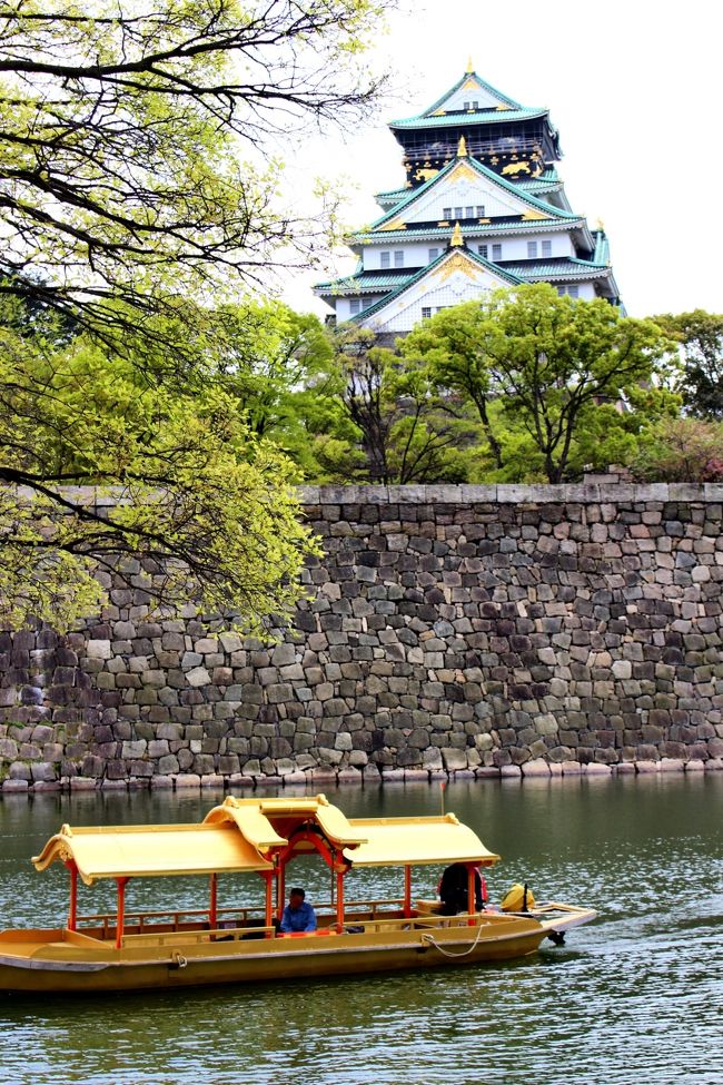 前から一度は行きたかった大阪造幣局の桜の通り抜け、でも混みそうなので躊躇してました。<br />主人が大阪初めてなので、思い切って行ってみました。<br /><br />噂に聞いていたけど、凄い人と桜の種類の多さに驚きました。普段あまり見ない珍しい桜を堪能しました。<br />ついでに大阪城も見学、天守閣から大阪市街の景色がきれいに見えました。<br /><br />夜は道頓堀に行きましたが、アジア系の外国人の多いこと、ネオンの派手さにも驚きました。<br />ホテルの部屋から見た夜景もきれいでした。