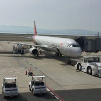 アシアナ航空A321ビジネスクラス    1泊2日 ぶらりソウル旅  関西空港～仁川空港～ホテル編