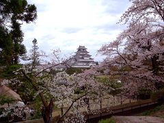 会津＊喜多方＊花見旅①鶴ヶ城の桜と酒蔵めぐり