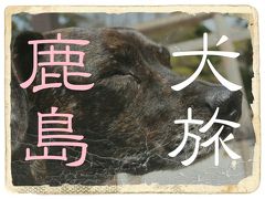 犬旅　～鹿島～