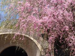 MIHO　MUSEUM