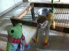 けろ子ZOOへ行く（４）おびひろ動物園