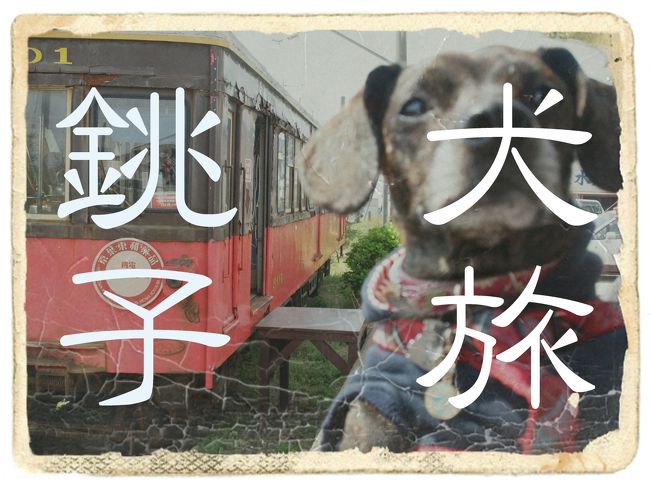 愛犬Ｋｅｎと旅する企画『 犬旅 』<br /><br />第２４回は、アジのある街・銚子。<br />そっか・・・　オレっちとおんなじじゃね。