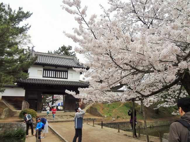 茨城県土浦市へ買い物へ行ったついでに、市内有数の桜の名所になっている土浦城址を訪れました。<br /><br />土浦城址は亀城公園として整備されていて、約70本のソメイヨシノが櫓やお堀に彩りを添えています。