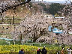 福島花見ドライブ