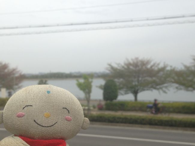 世界灌漑施設遺産に岸和田市の久米田池が登録された事を祝って本日4月17日だんじりの曳行が行われました。世界灌漑施設遺産に岸和田市の久米田池が登録された事を祝って本日4月17日だんじりの曳行が行われました。