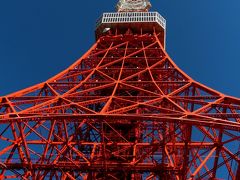 2016　大相撲観戦ツアー二日目「東京タワー」何年経っても真っ赤な美脚は映えますね！昭和の香りが堪らないなあ～～