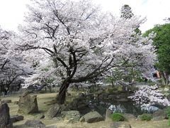 山梨の桜を求めて…恵林寺へ
