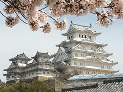 姫路城～今年の桜は綺麗かった