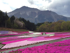 朝イチの秩父芝桜に行ってみた　～怒涛の車中２連泊の巻～