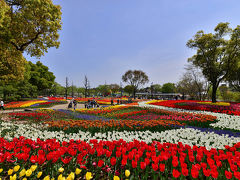 日本一大きな国営公園 木曽三川公園..「チューリップ祭2016inかいず」