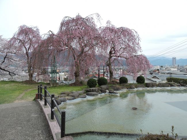 今年は、珍しく市内めぐりをしてみました。<br />この写真を撮った後、熊本や、大分の地震があり、ちょっと、あの、東日本大震災を思い出すような大規模な、様子に、あの時の東北の苦しみを思い出し、ちょっと、出すのを、迷っておりました。<br />九州のかたからフォローもされておりますので、遠いとはいえ、何かしら影響があると思います。<br />心からお見舞い申し上げます。<br />東北は、そろそろ桜も、その他の花もどんどん終わり次から次へと花が咲き乱れております。<br />ちょっとだけですが桜などを見て頂ければ幸いです。<br />上山にもつるし雛が少しだけ綺麗に飾ってあるところがありますので、長屋門ギャラリーのつるし雛ものせてみました。