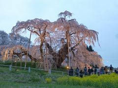 三春の滝桜