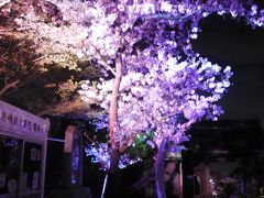 超穴場　閑散としている　野崎観音の桜ライトアップが大変綺麗でした。夜景も楽しめるいい場所、