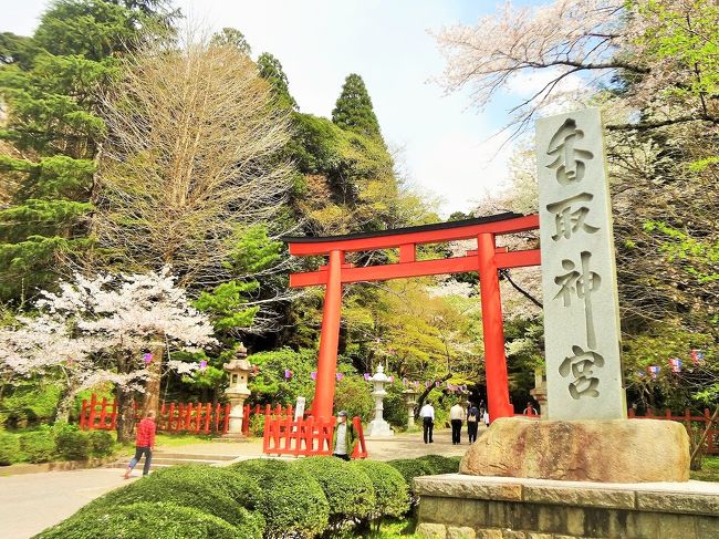 私の住む千葉県香取市にある香取神宮は、鹿島神宮（茨城県鹿嶋市）、伊勢神宮（三重県伊勢市）とともに、平安時代以前から「神宮」を名乗る歴史ある神社です。<br /><br />その創建は紀元前634年とも言われ、2600年以上の歴史を誇ります。<br /><br />年末年始には50万人以上の参拝客が訪れますが、境内に桜が咲き誇る４月上旬も多くの参拝客で賑わっています。